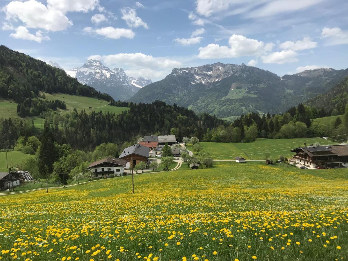 Haus Bergsicht Lofer Daire Dış mekan fotoğraf